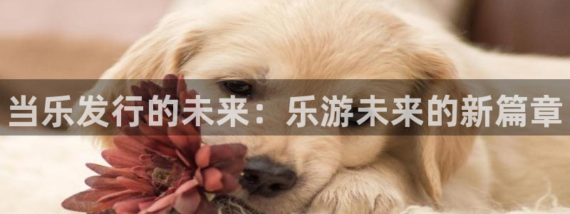 杏耀官网注册平台怎么注册不了：当乐发行的未来：乐游未来的新篇章