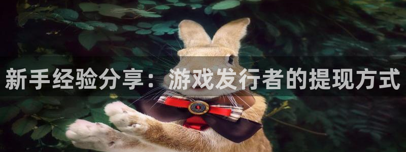杏耀官网代理注册不了：新手经验分享：游戏发行者的提现方式