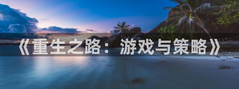 杏耀官网注册方法是什么：《重生之路：游戏与策略》