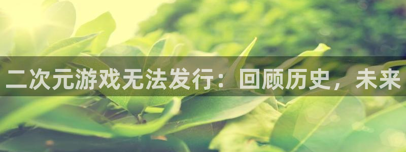 杏耀官网登录注册失败怎么回事：二次元游戏无法发行：回顾历史，未来