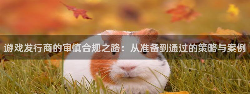 杏耀品牌