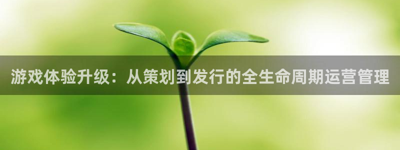 杏耀官网是什么娱乐?