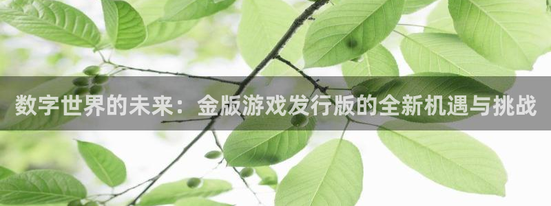 江苏杏耀：数字世界的未来：金版游戏发行版的全新机遇与挑战