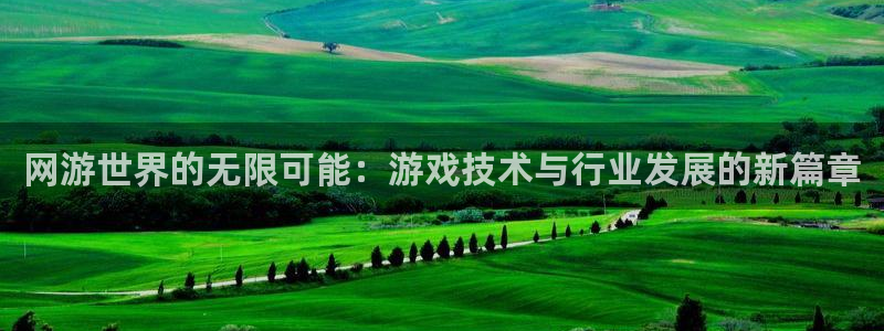 杏耀子书店：网游世界的无限可能：游戏技术与行业发展的新篇章