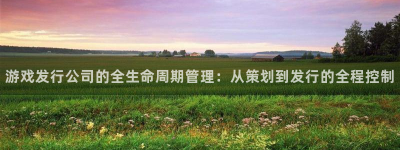 广东杏耀电商bruno：游戏发行公司的全生命周期管理：从策划到发行的全程控制