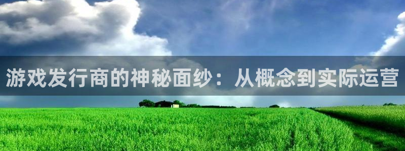 四川杏耀科技有限公司招聘：游戏发行商的神秘面纱：从概念到实际运营
