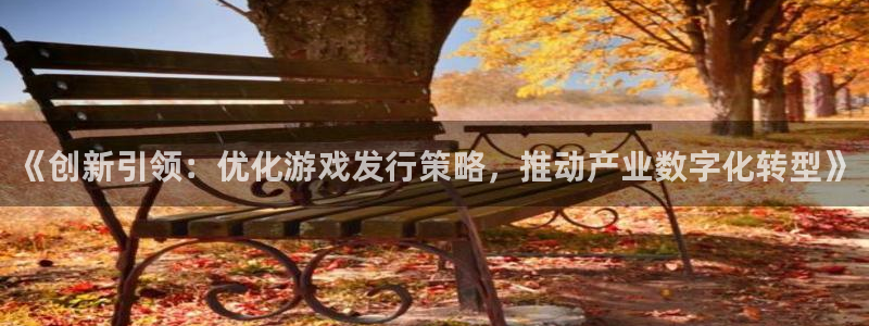 杏耀庄园：《创新引领：优化游戏发行策略，推动产业数字化转型》