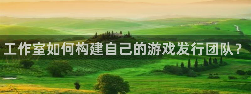 杏耀子文化是干什么的：工作室如何构建自己的游戏发行团队？