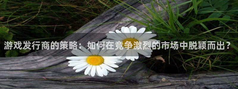 杏耀子酒业：游戏发行商的策略：如何在竞争激烈的市场中脱颖而出？