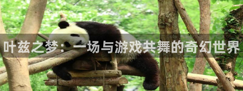 杏耀官网主管联3.7.9.9.7 主管